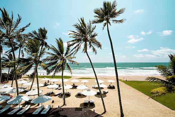 Hiekkaranta, jolla on aurinkovarjoja, rantatuoleja ja palmuja meren edustalla, taivaalla näkyy selkeää. (Tekoälyn luoma teksti)