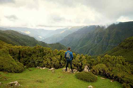 Henkilö seisoo vihreällä kukkulalla ja katsoo metsän peittämiä vuoria. (Tekoälyn luoma teksti)