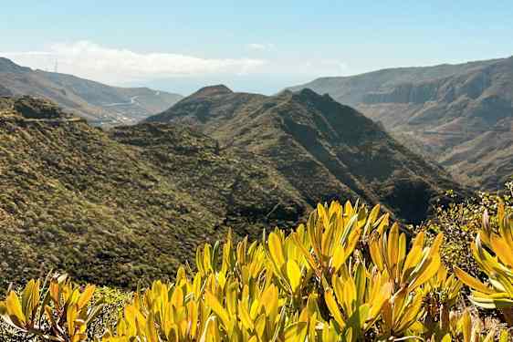 Näköala vuoristoiseen maisemaan, jossa on vihreää kasvillisuutta ja pensaita etualalla. (Tekoälyn luoma teksti)