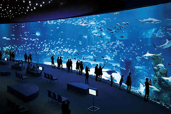 Ihmiset seisovat suuren akvaarion edessä, jossa näkyy erilaisia kaloja ja haita. (Tekoälyn luoma teksti)