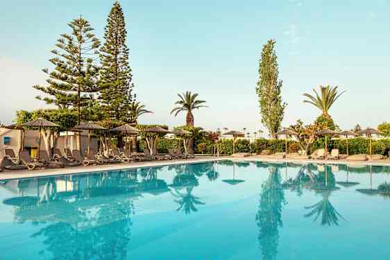 Näkymä uima-altaalle, jonka reunalla on aurinkotuoleja ja varjoja, ympärillä puita ja pensaita. (Tekoälyn luoma teksti)