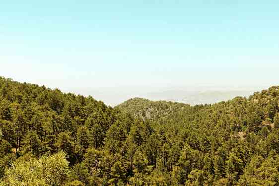 Tiheä metsä kattaa mäkisen maiseman kirkkaan taivaan alla. (Tekoälyn luoma teksti)