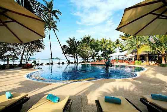 Uima-allas, jota ympäröivät palmut ja aurinkotuolit, näkymä merelle ja sininen taivas. (Tekoälyn luoma teksti)