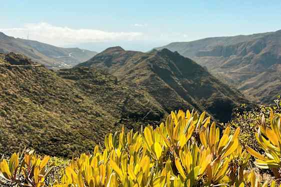 Näköala vuoristoiseen maisemaan, jossa on vihreää kasvillisuutta ja pensaita etualalla. (Tekoälyn luoma teksti)
