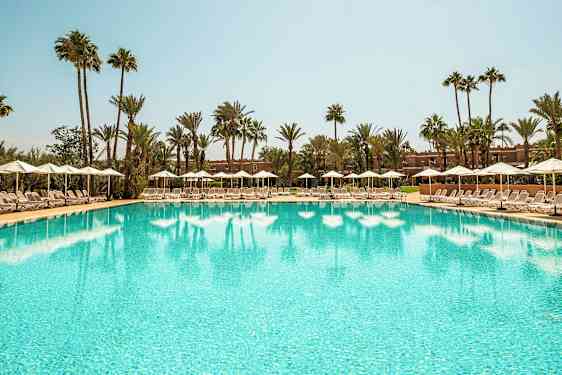 Suuri uima-allas, jonka ympärillä aurinkotuoleja ja sateenvarjoja, kirkkaan taivaan alla, taustalla palmuja. (Tekoälyn luoma teksti)