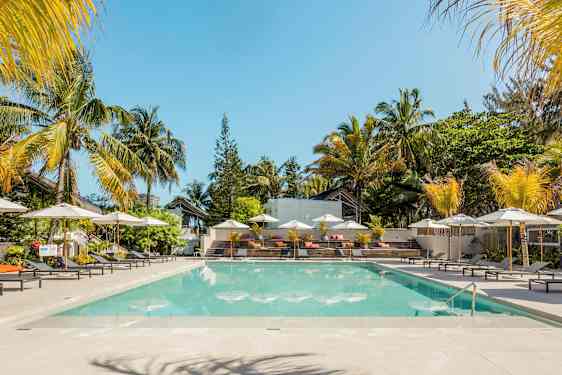 Uima-allas ympäröitynä aurinkotuoleilla ja aurinkovarjoilla, taustalla palmuja. (Tekoälyn luoma teksti)