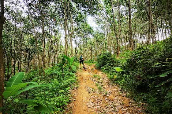 Henkilö pyöräilee metsätietä ylös, ympärillä puita ja vehreyttä. (Tekoälyn luoma teksti)