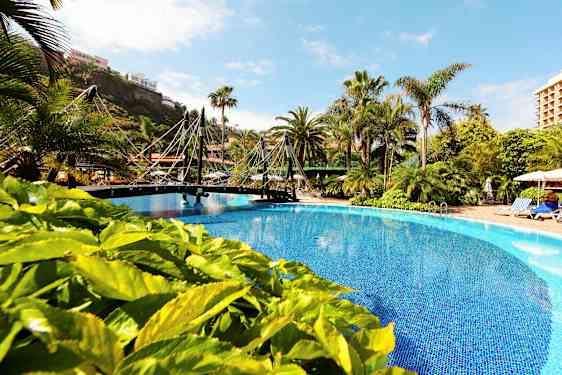 Ulkouima-allas, jonka ympärillä on vihreitä kasveja ja palmuja. Pieni silta kulkee altaan yli. (Tekoälyn luoma teksti)