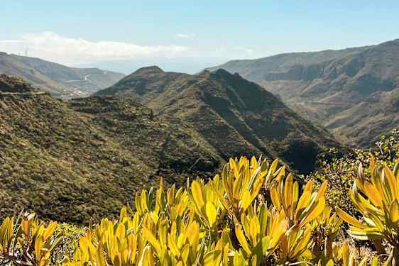 Näköala vuoristoiseen maisemaan, jossa on vihreää kasvillisuutta ja pensaita etualalla. (Tekoälyn luoma teksti)
