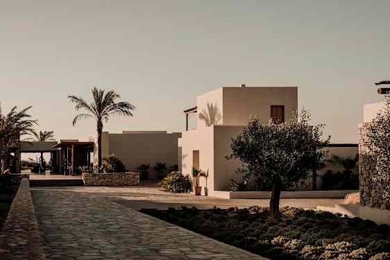 Vaalea rakennus, jota ympäröi palmupuut ja kivipäällysteinen kävelyreitti. (Tekoälyn luoma teksti)