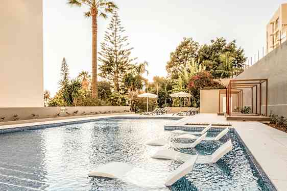 Uima-allas ulkona, jossa aurinkotuoleja ja varjoja, ympäröivät puut ja kasvillisuus. (Tekoälyn luoma teksti)