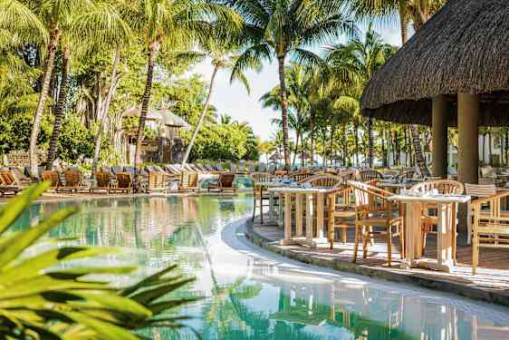 Uima-allasalue, jossa aurinkotuoleja, palmuja ja ruokapöytiä suojakatoksen alla. (Tekoälyn luoma teksti)