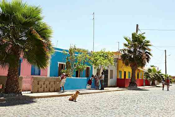 Katu värikkäiden talojen, palmujen ja kävelevien ihmisten kanssa. (Tekoälyn luoma teksti)