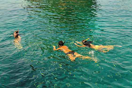 Henkilöt snorklaamassa kirkkaassa vedessä kalojen ympäröimänä. (Tekoälyn luoma teksti)