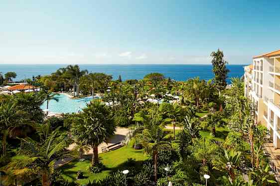 Hotellin puutarha, jossa palmuja ja kasveja, keskellä uima-allas ja taustalla meri. (Tekoälyn luoma teksti)