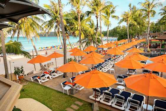 Aurinkotuoleja ja oransseja aurinkovarjoja rannalla palmujen keskellä. (Tekoälyn luoma teksti)