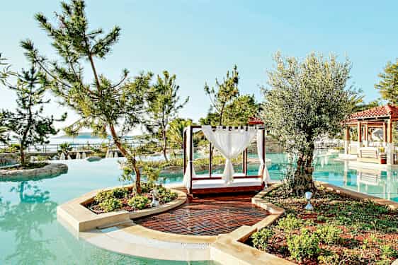 Uima-allas, jota ympäröivät puut ja kasvit, etualalla on ulkosänky ja polku. (Tekoälyn luoma teksti)