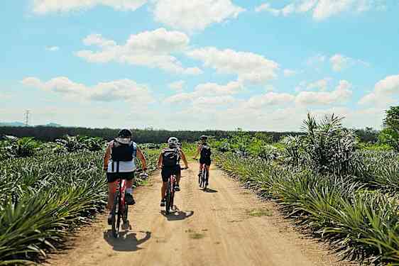 Kolme henkilöä pyöräilee hiekkatiellä trooppisen maiseman halki. (Tekoälyn luoma teksti)