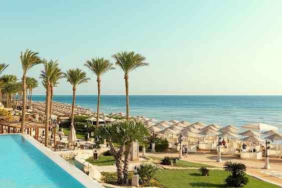 Palmupuita rannalla, jossa on aurinkovarjoja ja kirkas sininen vesi. (Tekoälyn luoma teksti)