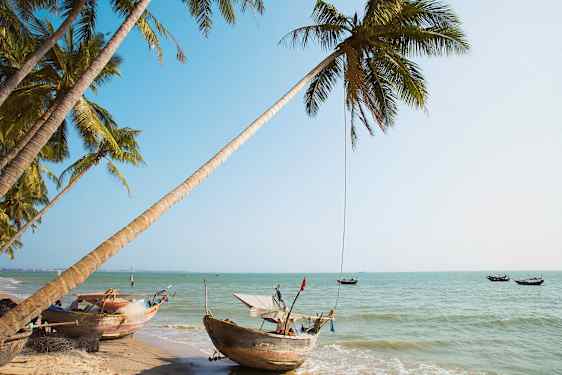 Näkymä trooppiselle rannalle, jossa palmuja ja perinteisiä veneitä veden äärellä. (Tekoälyn luoma teksti)