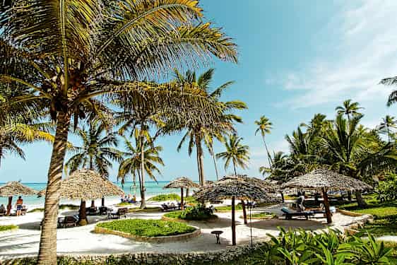 Ranta kookospalmujen, aurinkovarjojen ja aurinkotuolien kanssa sinisen taivaan alla. (Tekoälyn luoma teksti)