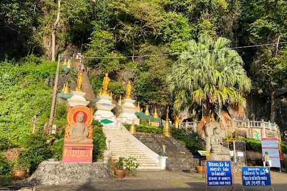 HKT/KBV Jungle Safari (JUNG)