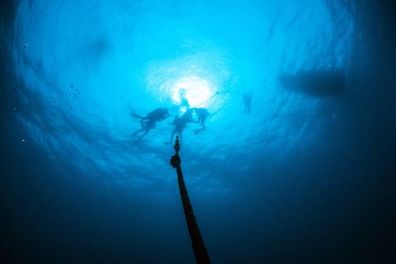 SID Diving and snorkling morning (DYSN)