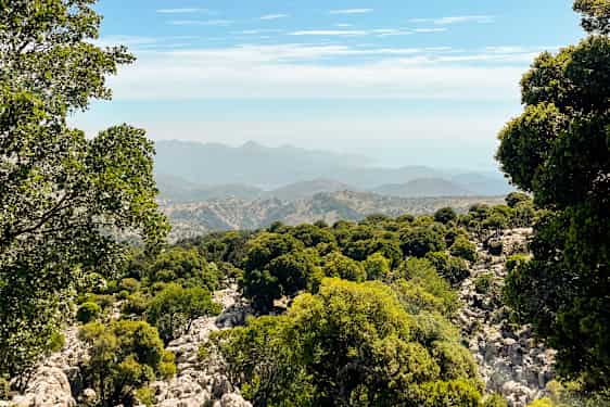 HER Safari Club - Minoan route (JSMI)