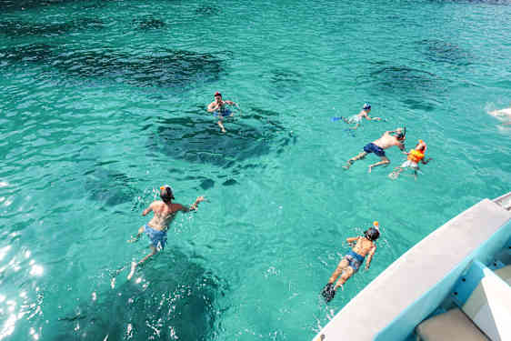 PMI Cruise Cormoran Paradise (CCPA)