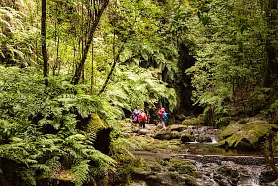 FNC Jeep Safari – Amazing West (JEWM)