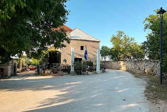 SPU Generations of Olives (GEOL)