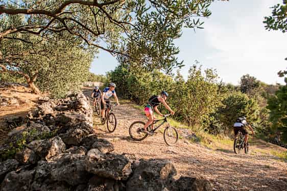 SPU Brac Mountain Biking - Olive Route (MNBI)