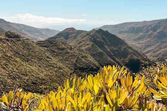 TFS La gomera ONLY Finland (LAGF)