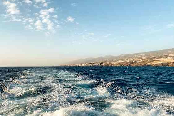 TFS Royal Dolphin (ROYA)