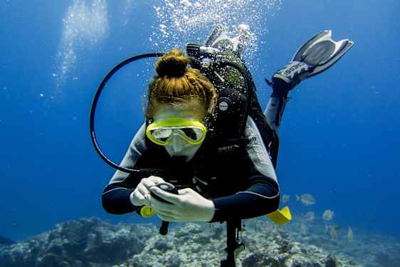 TFS Try diving (TRYD)