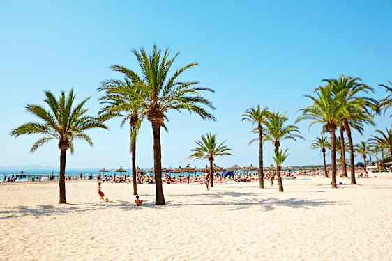 Vaaleahiekkainen palmuranta ja kirkkaansininen taivas med palmer och en klarblå himmel.