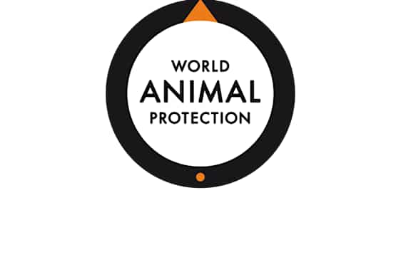 World Animal Protection logo