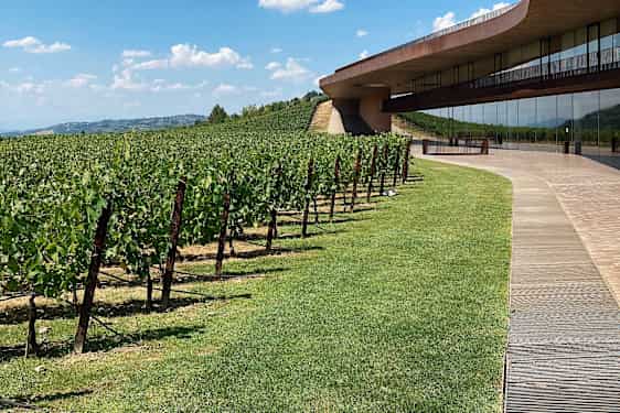 Viinitila Antinori nel Chianti Classico