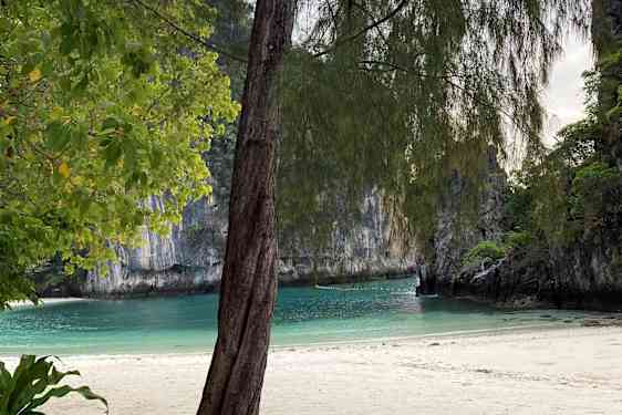 Koh Hong