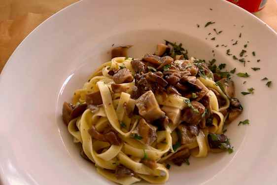 Sienipastaa