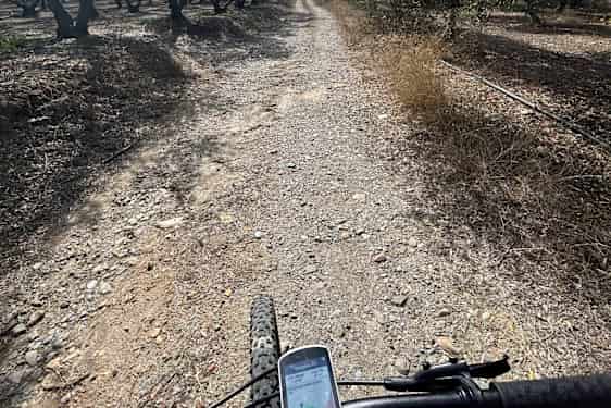 Maastopyörällä oliivilehdossa