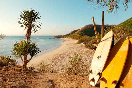 Surfbrädor vid strand