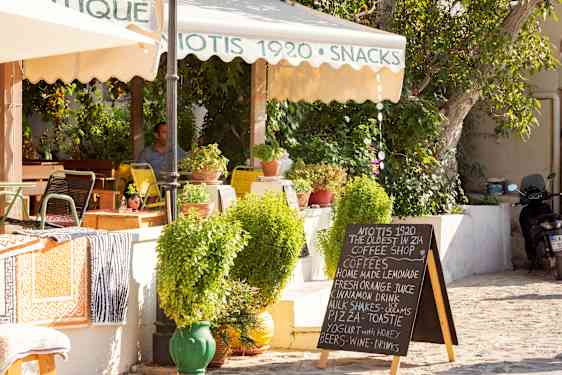 Pinjapuiden varjot hienohiekkaisella ranalla