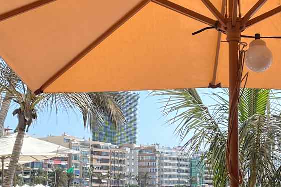 Vilkas ja eloisa Las Canteras-ranta.