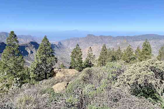 Näkymä vaelluksen varrelta, taustalla siintää Teide.