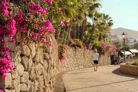 Playa De Las Americas