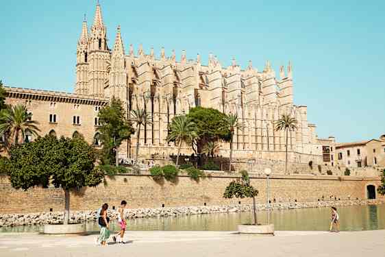 Palma