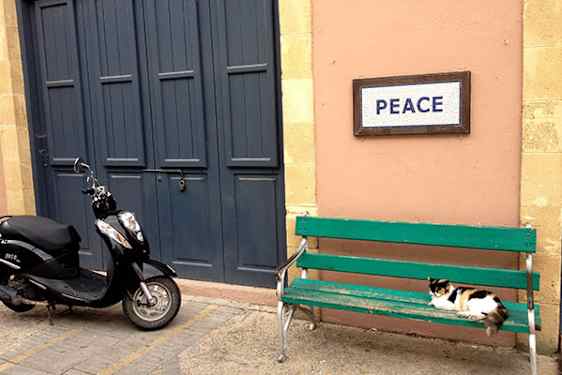 Rauhanpenkki Nicosiassa