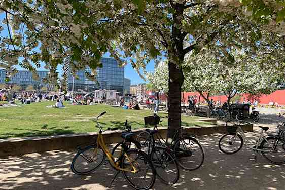 Kesäinen puistomaisema Islands Brygge