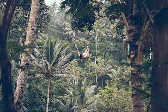 Tegalalangin riisiviljelmät Balilla